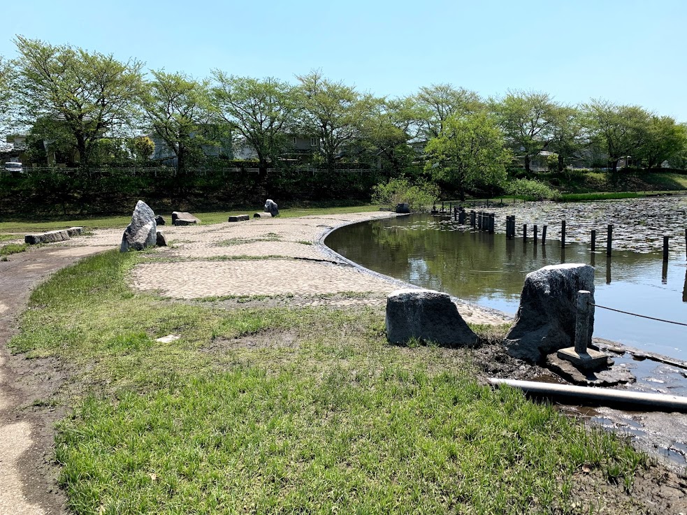 夏にオススメ】水遊びが出来る・水場がある栃木県南の公園11選  栃木 