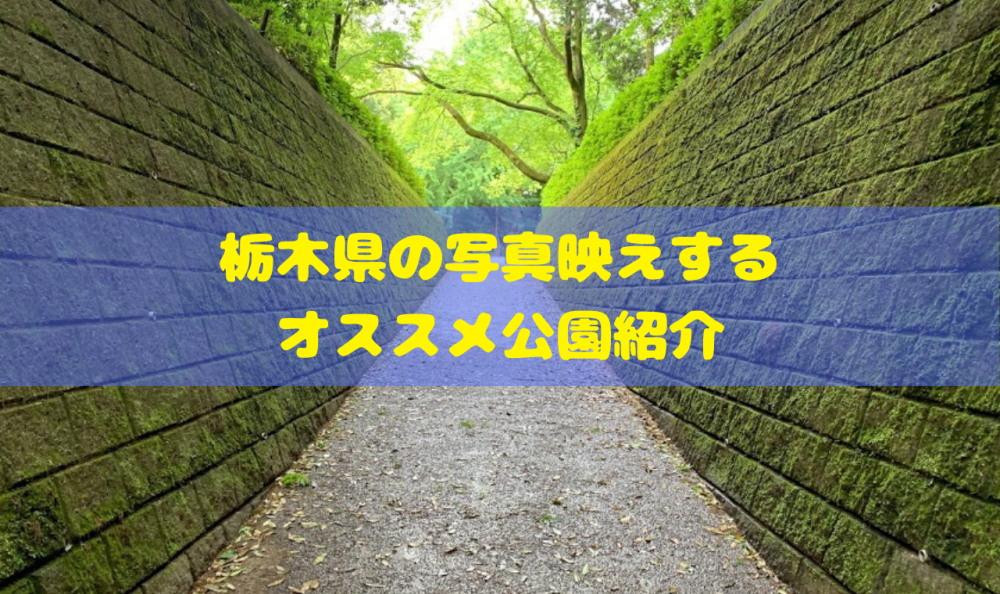 インスタ映え 栃木県の写真映えするオススメ公園１２選 栃木公園情報館 トチパ