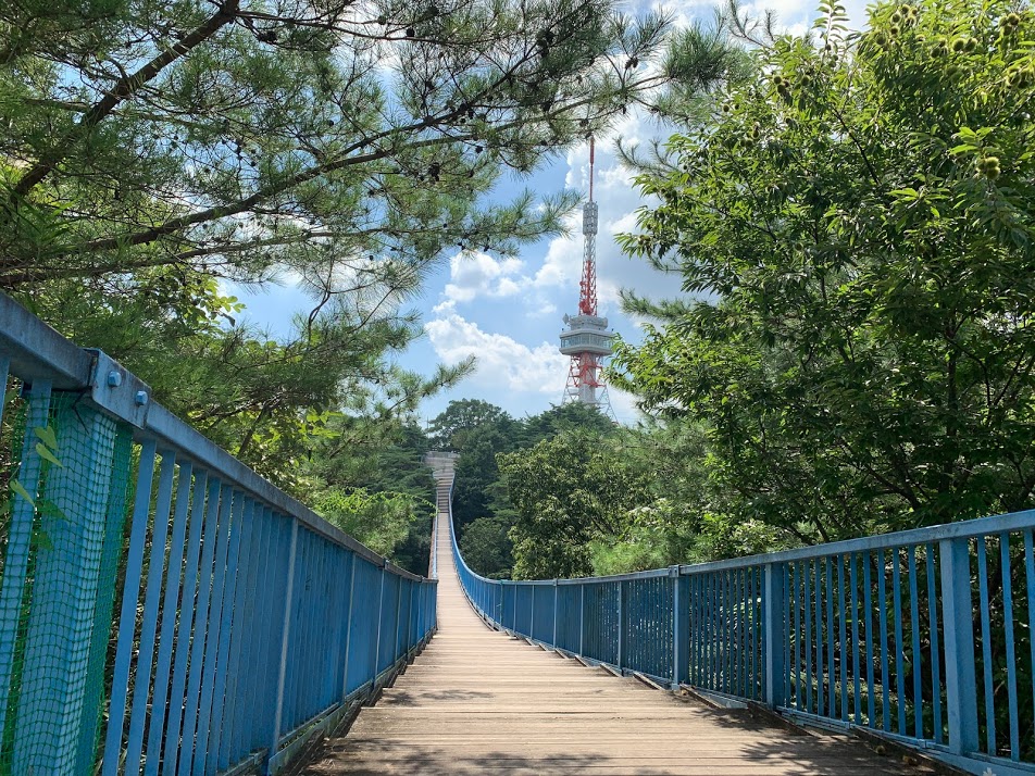 栃木公園紹介 宇都宮市 八幡山公園 栃木公園情報館 トチパ