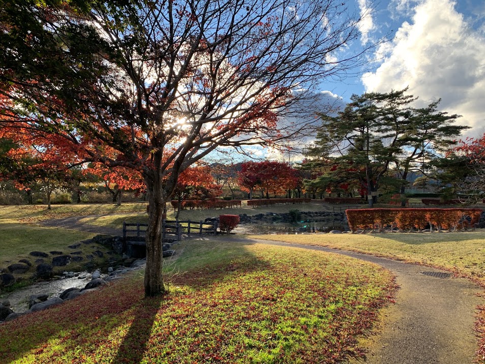 栃木公園紹介 日光市 丸山公園 まるやまこうえん 栃木公園情報館 トチパ