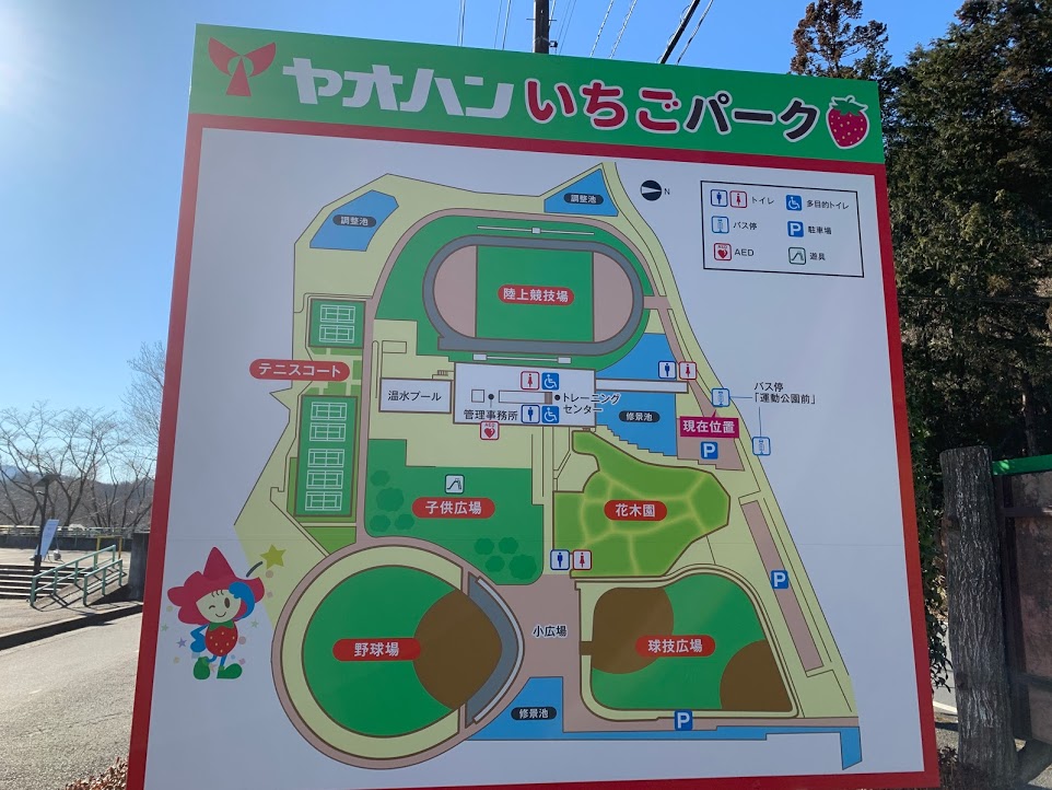 栃木公園紹介 鹿沼運動公園 ヤオハンいちごパーク 栃木公園情報館 トチパ