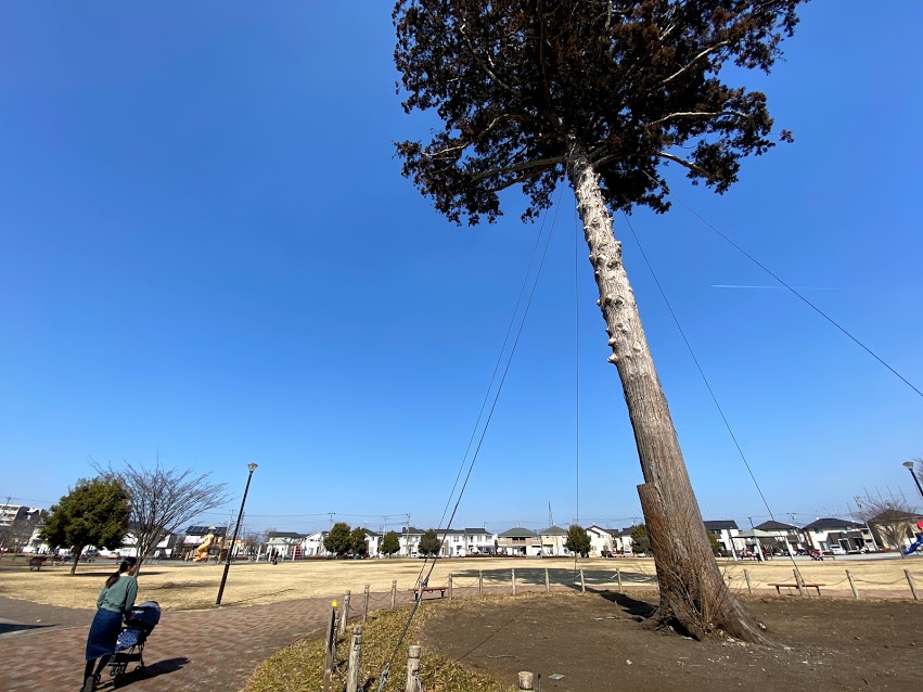 栃木公園紹介 宇都宮市 テクノ一本杉公園 栃木公園情報館 トチパ